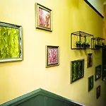 Sallow Tree House 酒店 *