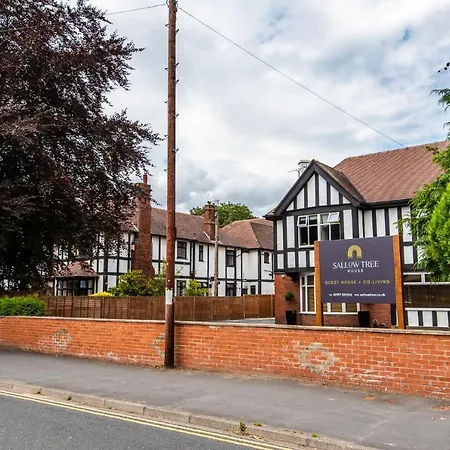 酒店 Sallow Tree House