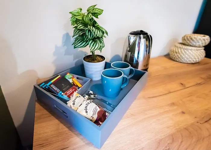 Hotel Sallow Tree House *