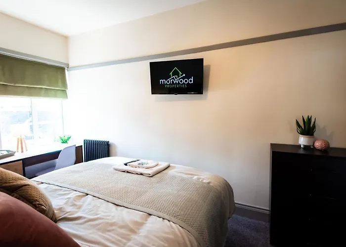 Hotel Sallow Tree House *