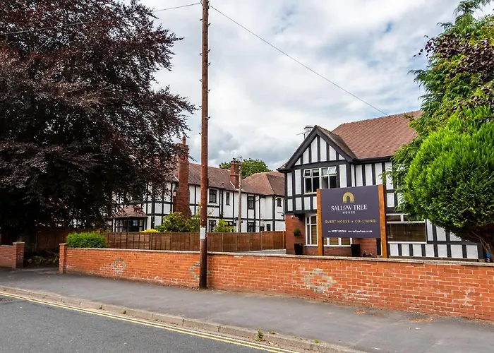 Hotel Sallow Tree House